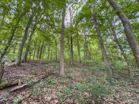 30574 Strawn Rd, Logan, OH 43138 photo 70