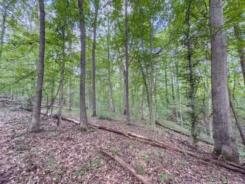 30574 Strawn Rd, Logan, OH 43138 photo 89
