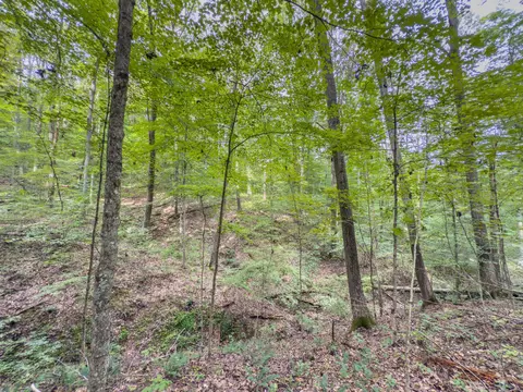 30574 Strawn Rd, Logan, OH 43138 photo 75