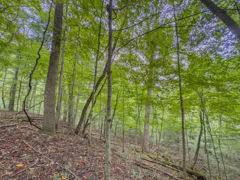 30574 Strawn Rd, Logan, OH 43138 photo 78