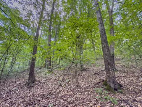 30574 Strawn Rd, Logan, OH 43138 photo 72