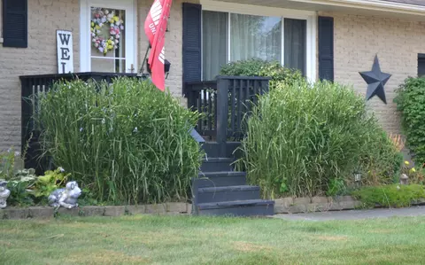 1835 Sierra Ave, Springfield, OH 45503 photo 31