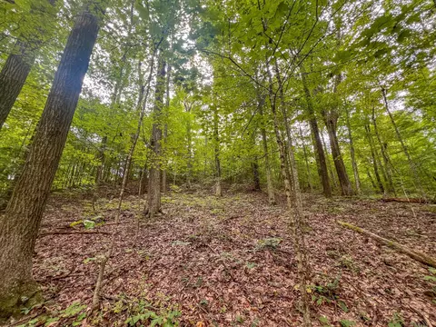 0 Carpenter Rd, Ray, OH 45672 photo 6