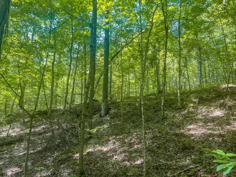 0 Carpenter Rd, Ray, OH 45672 photo 2