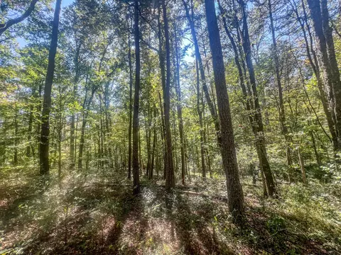 0 Carpenter Rd, Ray, OH 45672 photo 17