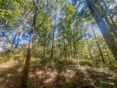 0 Carpenter Rd, Ray, OH 45672 photo 21