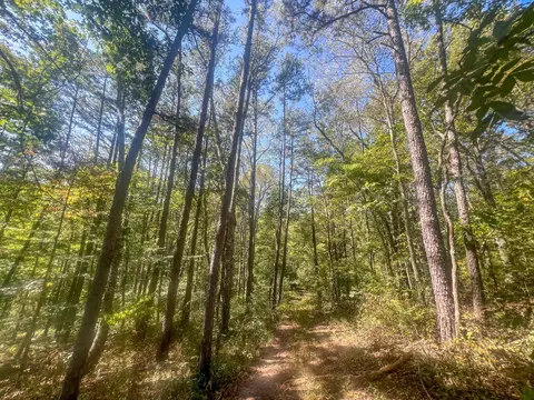 0 Carpenter Rd, Ray, OH 45672 photo 16