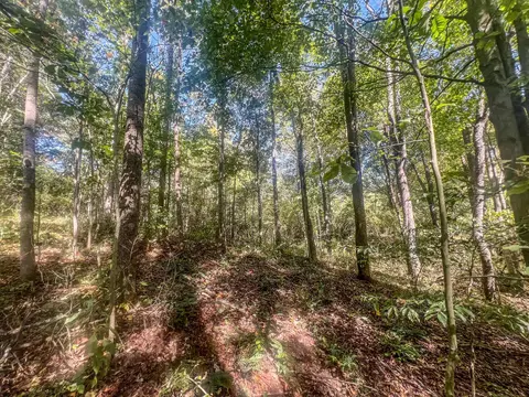 0 Carpenter Rd, Ray, OH 45672 photo 23