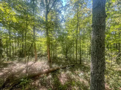 0 Carpenter Rd, Ray, OH 45672 photo 22