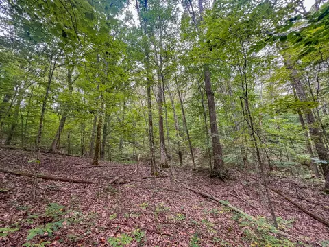 0 Carpenter Rd, Ray, OH 45672 photo 5