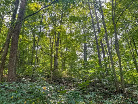 0 Carpenter Rd, Ray, OH 45672 photo 3