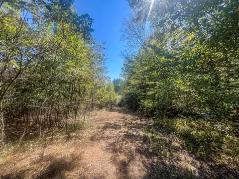 0 Carpenter Rd, Ray, OH 45672 photo 15