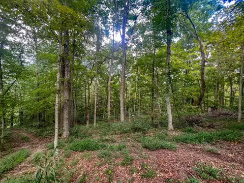 0 Carpenter Rd, Ray, OH 45672 photo 4