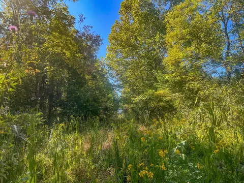 0 Carpenter Rd, Ray, OH 45672 photo 30