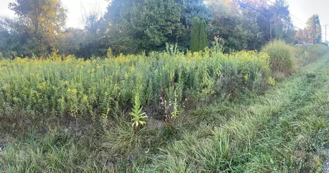 14120 Monroe Mills Rd #LOT 324, Howard, OH 43028