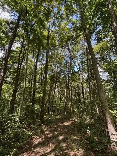 0 Us-35, Ray, OH 45672 photo 14