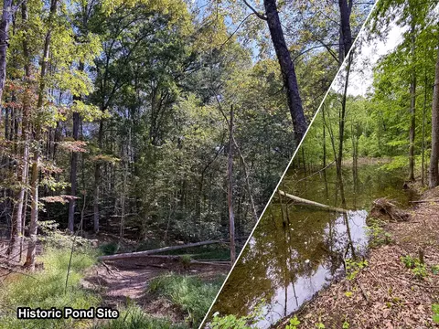 0 Wolf Hill Road Apt Rd #(TRACT 6 WOLF HILL), Vinton, OH 45686