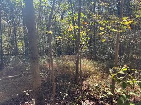 9847 Stage Rd, Logan, OH 43138 photo 8