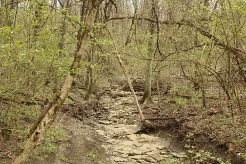 0 Dublin Rd, Delaware, OH 43015 photo 8