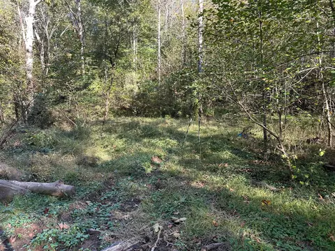 39454 Boston Rd, Reedsville, OH 45772