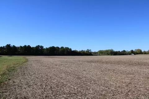 0 Panhandle Rd, Delaware, OH 43015 photo 5