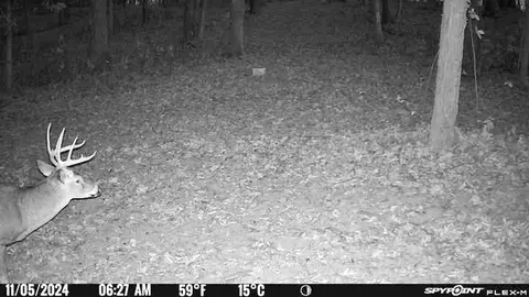 0 Chase Rd, Athens, OH 45701 photo 36