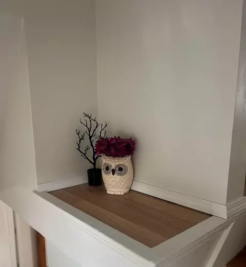 Entry Way - 1008 Tibbetts Ave, Springfield, OH 45505 photo 3 of 4