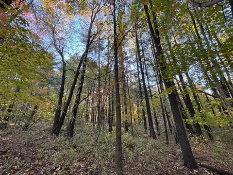 0 Township Rd 44, Somerset, OH 43783