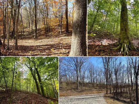 7447 Township Rd 215-a SE #(TRACT 6 AT SHAWNEE WOODS), Corning, OH 43730