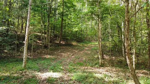 0 Beech Fork Rd, Peebles, OH 45660 photo 2