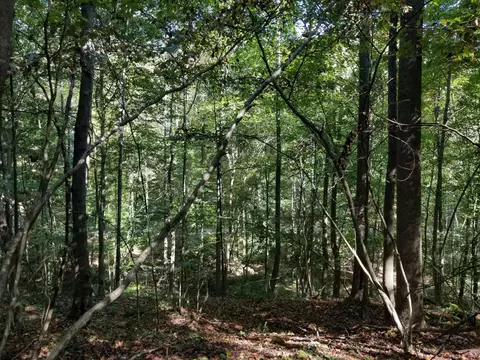 0 Beech Fork Rd, Peebles, OH 45660 photo 8