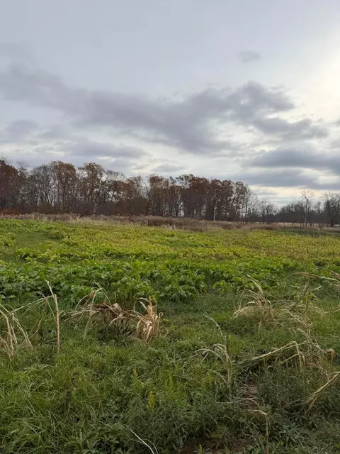 0 Euga Rd, Newcomerstown, OH 43832 photo 19