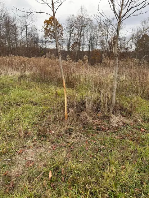 0 Euga Rd, Newcomerstown, OH 43832 photo 14