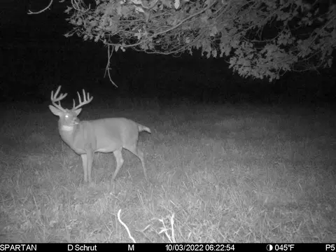 0 Euga Rd, Newcomerstown, OH 43832 photo 10
