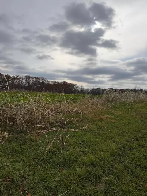 0 Euga Rd, Newcomerstown, OH 43832 photo 16