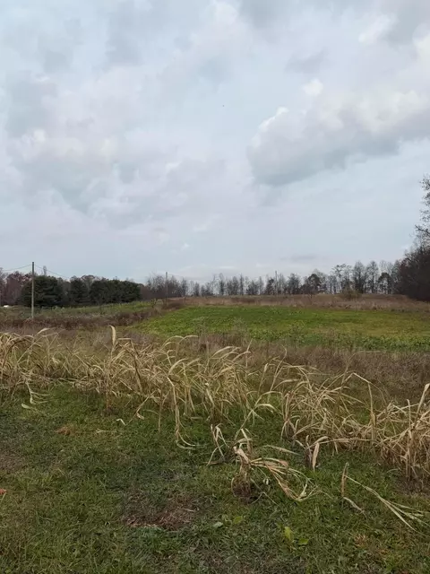 0 Euga Rd, Newcomerstown, OH 43832 photo 11
