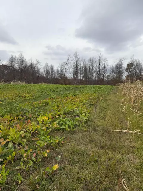 0 Euga Rd, Newcomerstown, OH 43832 photo 13