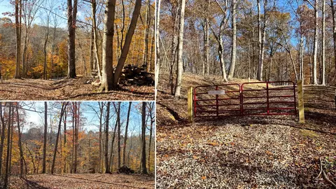 586 Nibert Road Apt Rd #(PONDS POPLAR RIDGE TRACT 11, Gallipolis, OH 45631