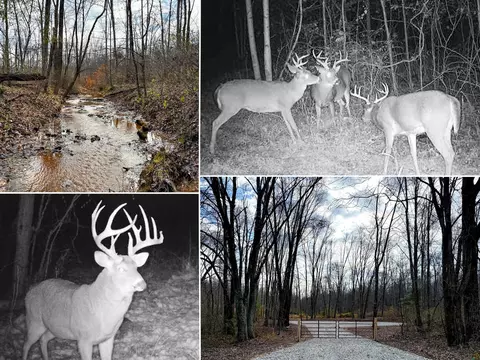 0 Dutch Ridge Rd #(WOODS TUR RUN TRACT 4), New Lexington, OH 43764