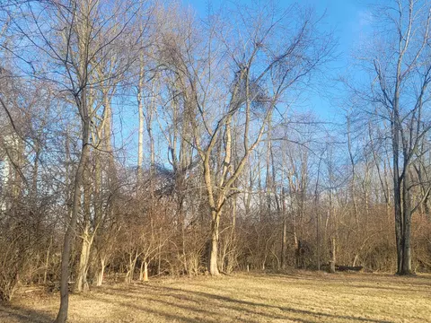 7326 Ohio 19 UNIT 8-241, Mount Gilead, OH 43338