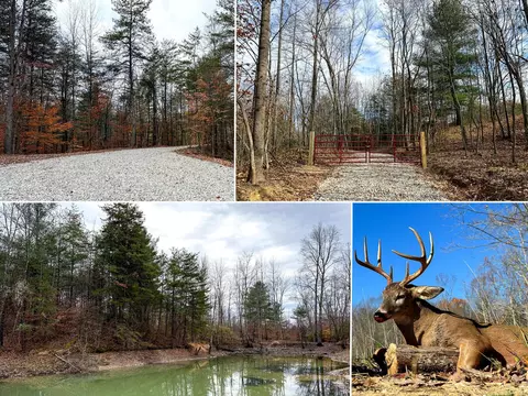 0 Dutch Ridge Rd #(WOODS TUR RUN TRACT 3), New Lexington, OH 43764