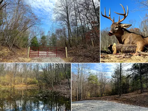 0 Dutch Ridge Rd #(WOODS TUR RUN TRACT 2), New Lexington, OH 43764