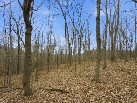 0 E Side Geer Mill Rd, Vinton, OH 45686 photo 20
