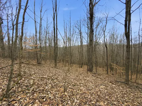 0 E Side Geer Mill Rd, Vinton, OH 45686 photo 21