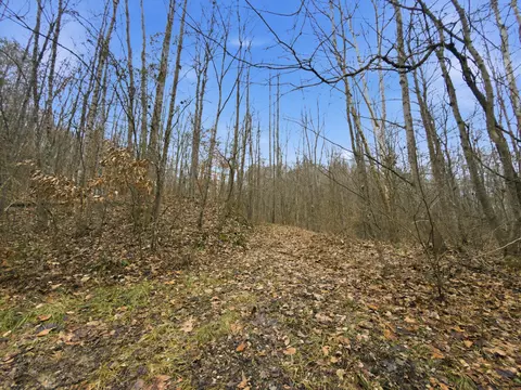 0 E Side Geer Mill Rd, Vinton, OH 45686 photo 12
