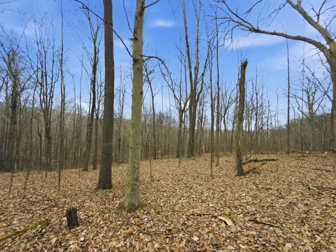 0 E Side Geer Mill Rd, Vinton, OH 45686 photo 18