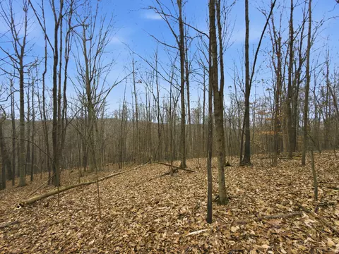 0 E Side Geer Mill Rd, Vinton, OH 45686 photo 17
