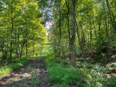 603 Fairgreens Rd, Jackson, OH 45640 photo 25