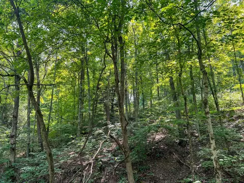 603 Fairgreens Rd, Jackson, OH 45640 photo 27