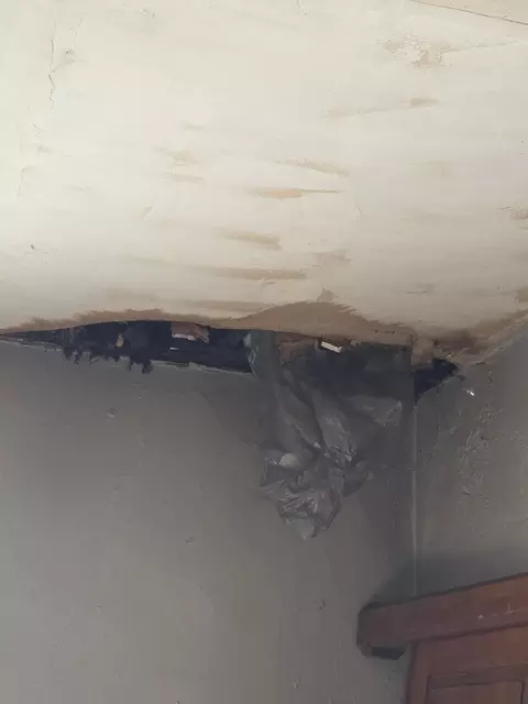 Other - 1161 Spring Ave NE, Canton, OH 44704 photo 3 of 7